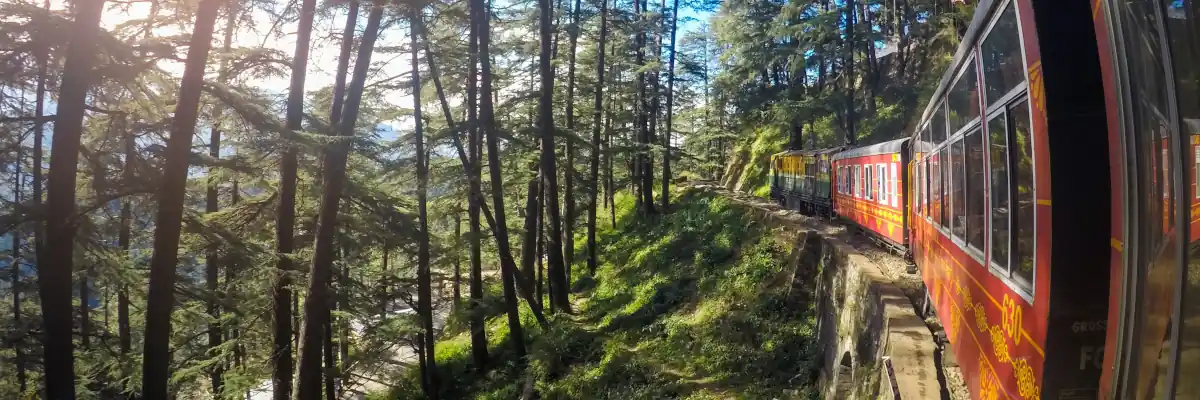 toy train shimla