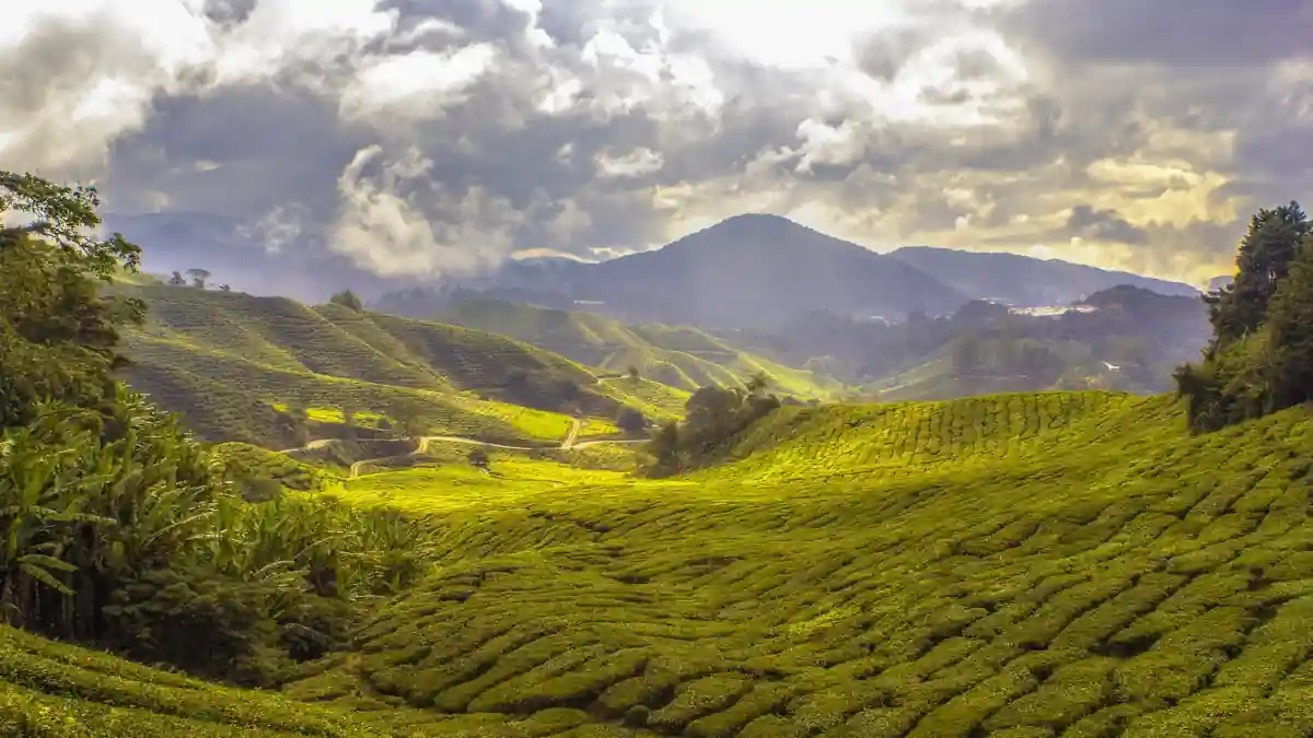kerala mountains