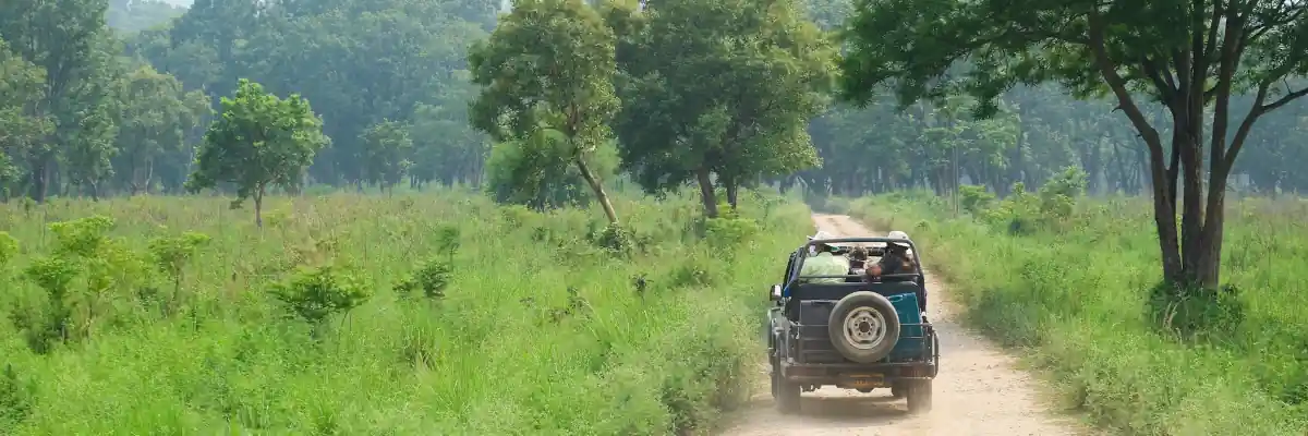 Jeep Safari Jim Corbett
